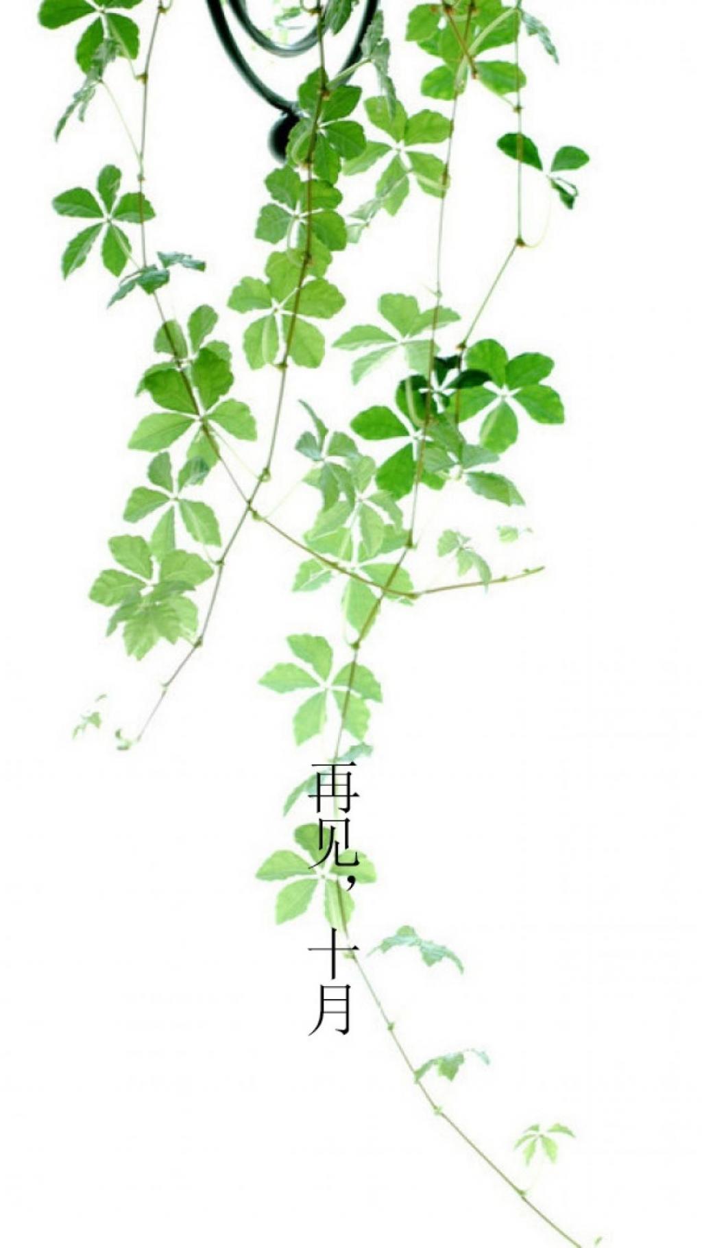 十月再见小清新锁屏