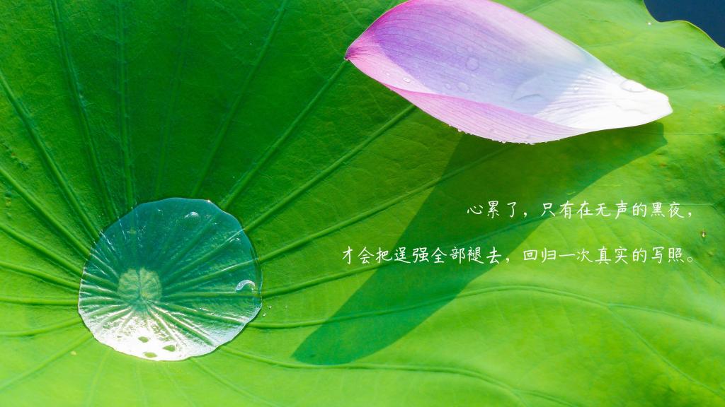 一个人心很累的文艺伤感句子图片