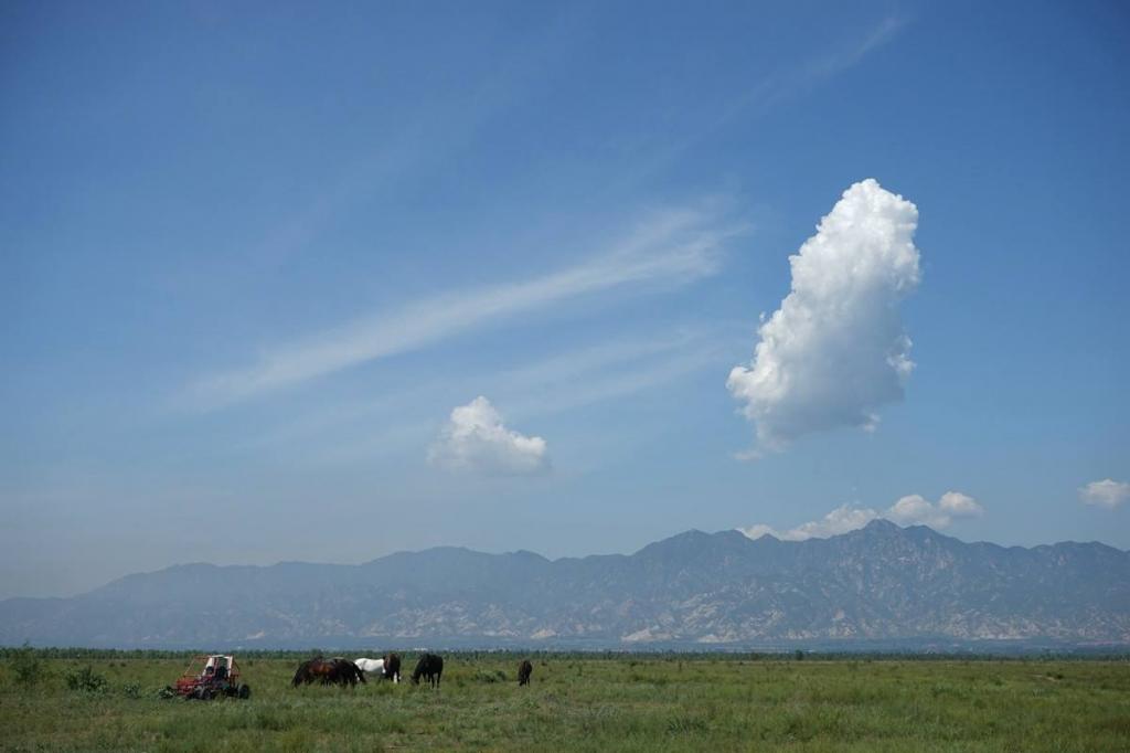 北京的康西草原