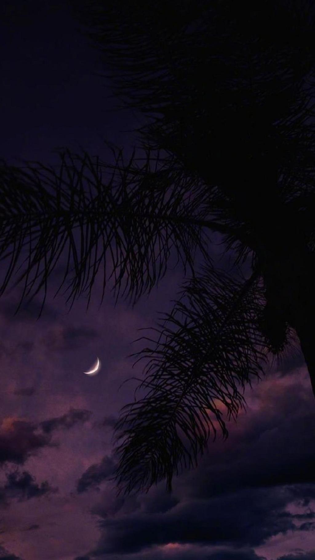 漫天繁星不如你回眸一笑