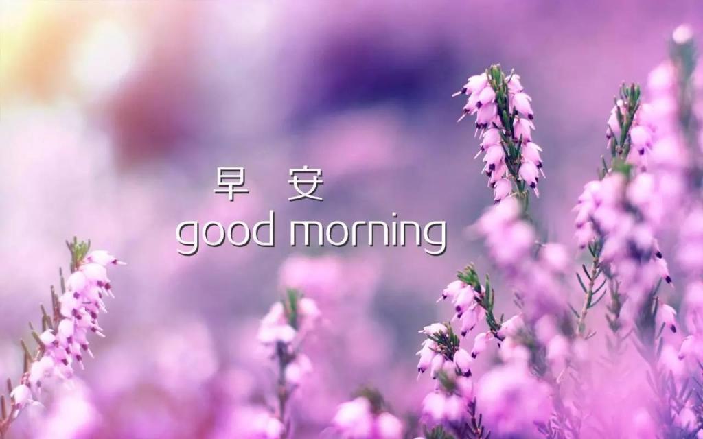 温暖的早上好唯美带字图片