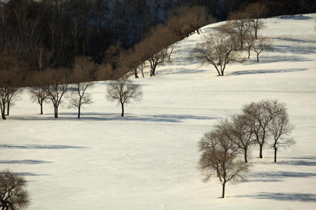 坝上雪原唯美迷人冬日风光