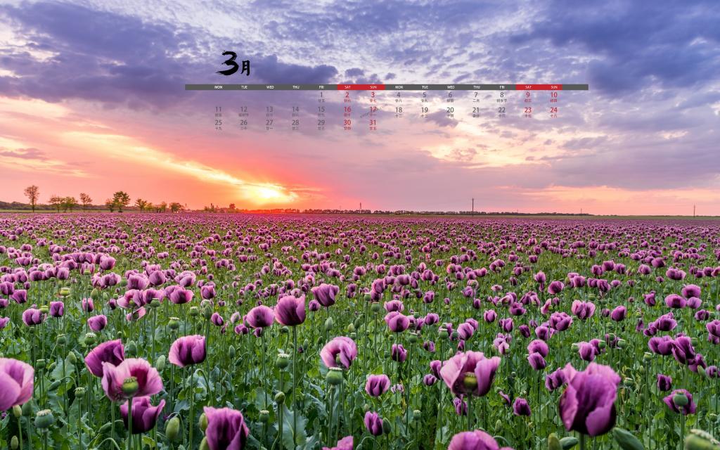 2019年3月自然界的唯美风光日历