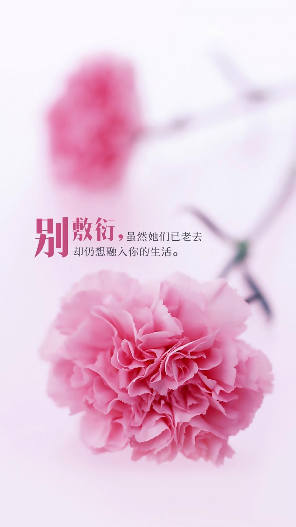 母亲节花卉唯美主题