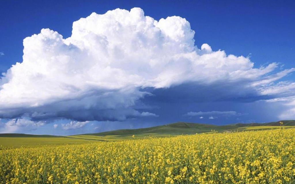 蓝天白云唯美护眼风景