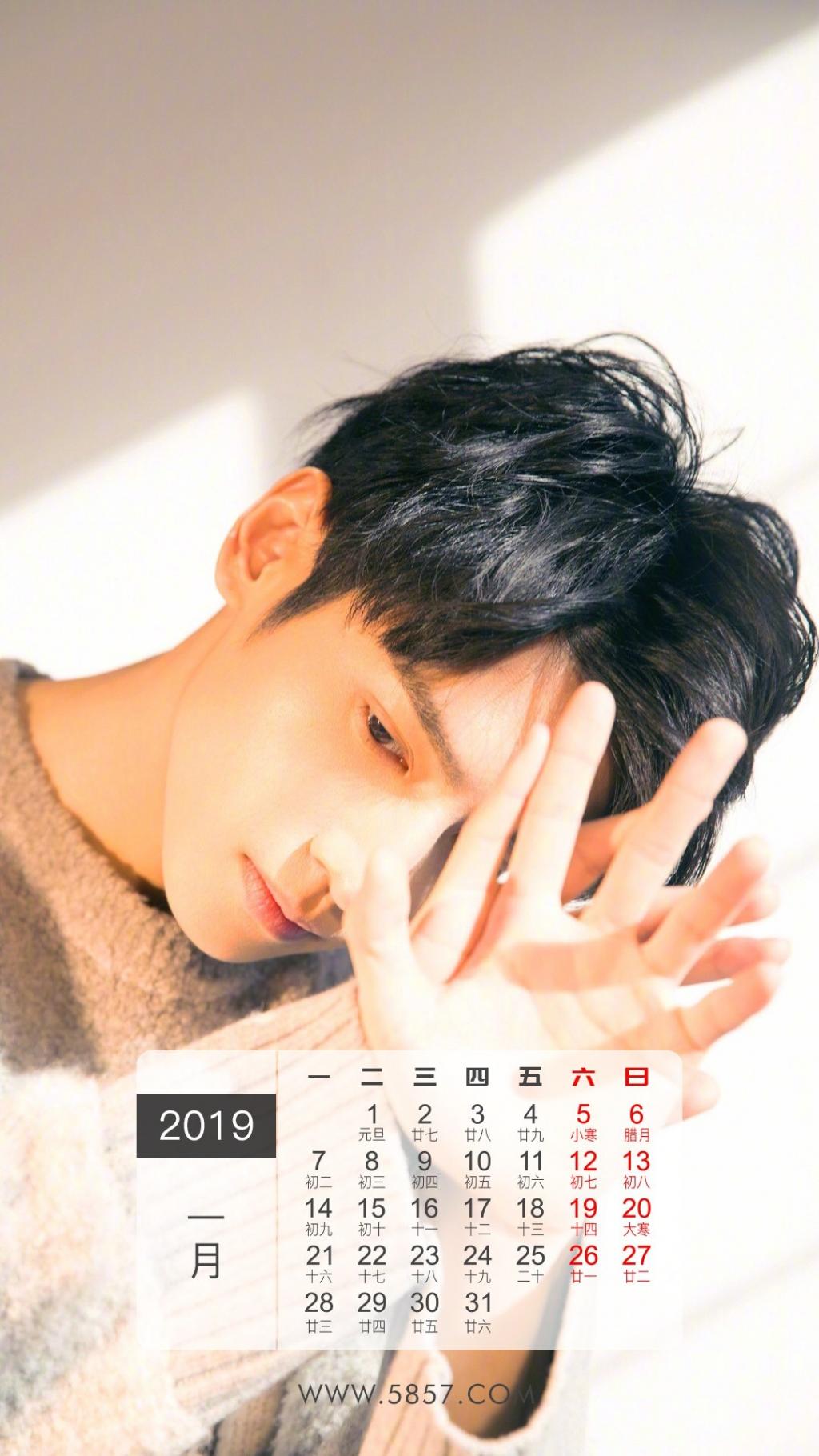 2019年1月罗云熙个性炫酷写真日历