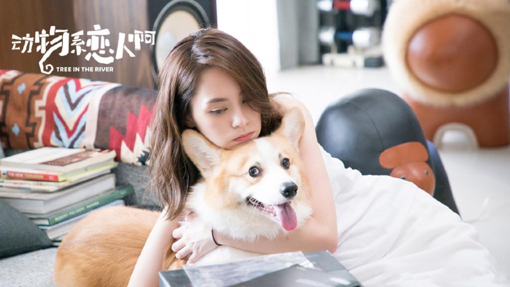 《动物系恋人啊》影视剧照