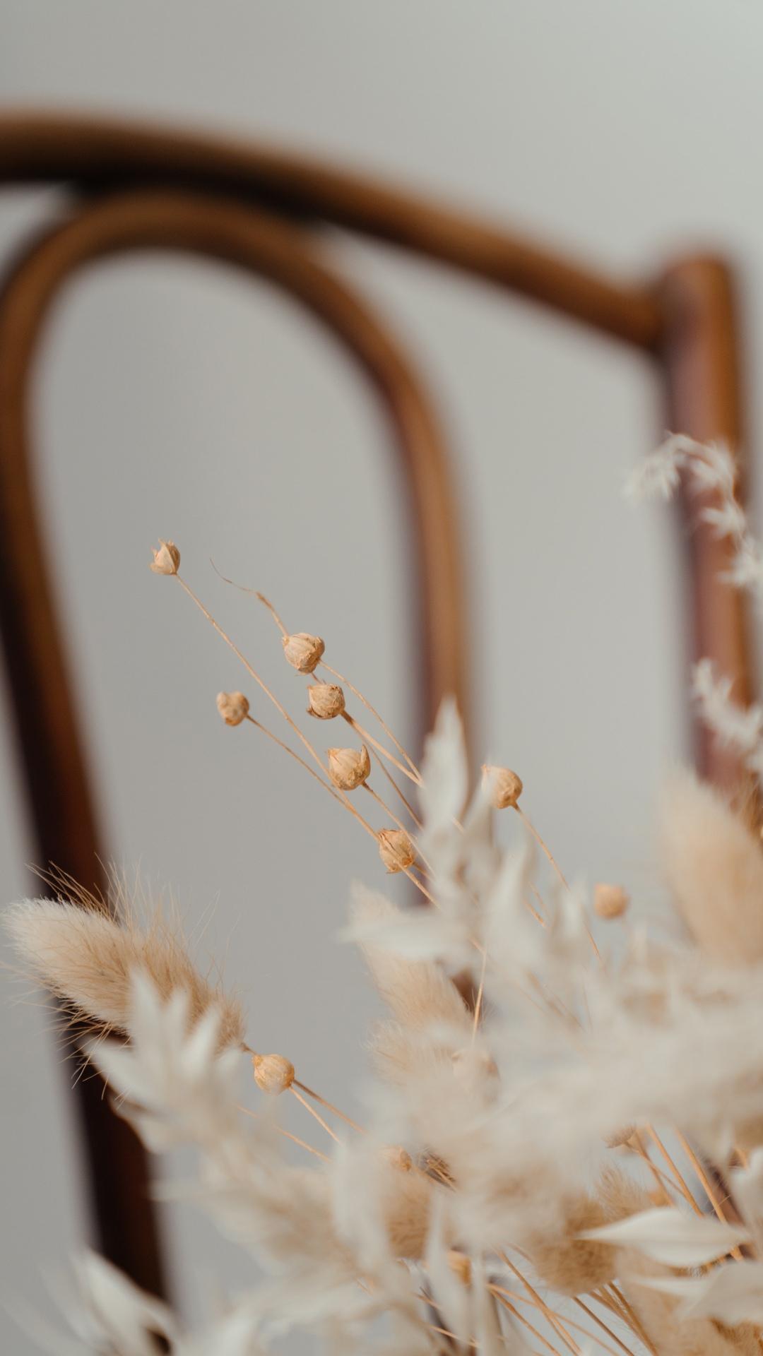 ins风简约艺术摆拍