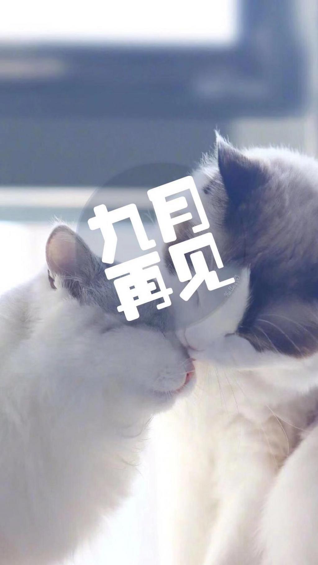 即将过去的九月