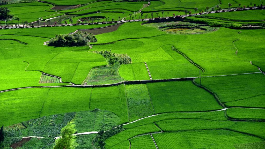 贵州兴义万峰林风景