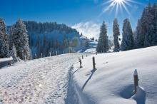 大雪后的山间道路