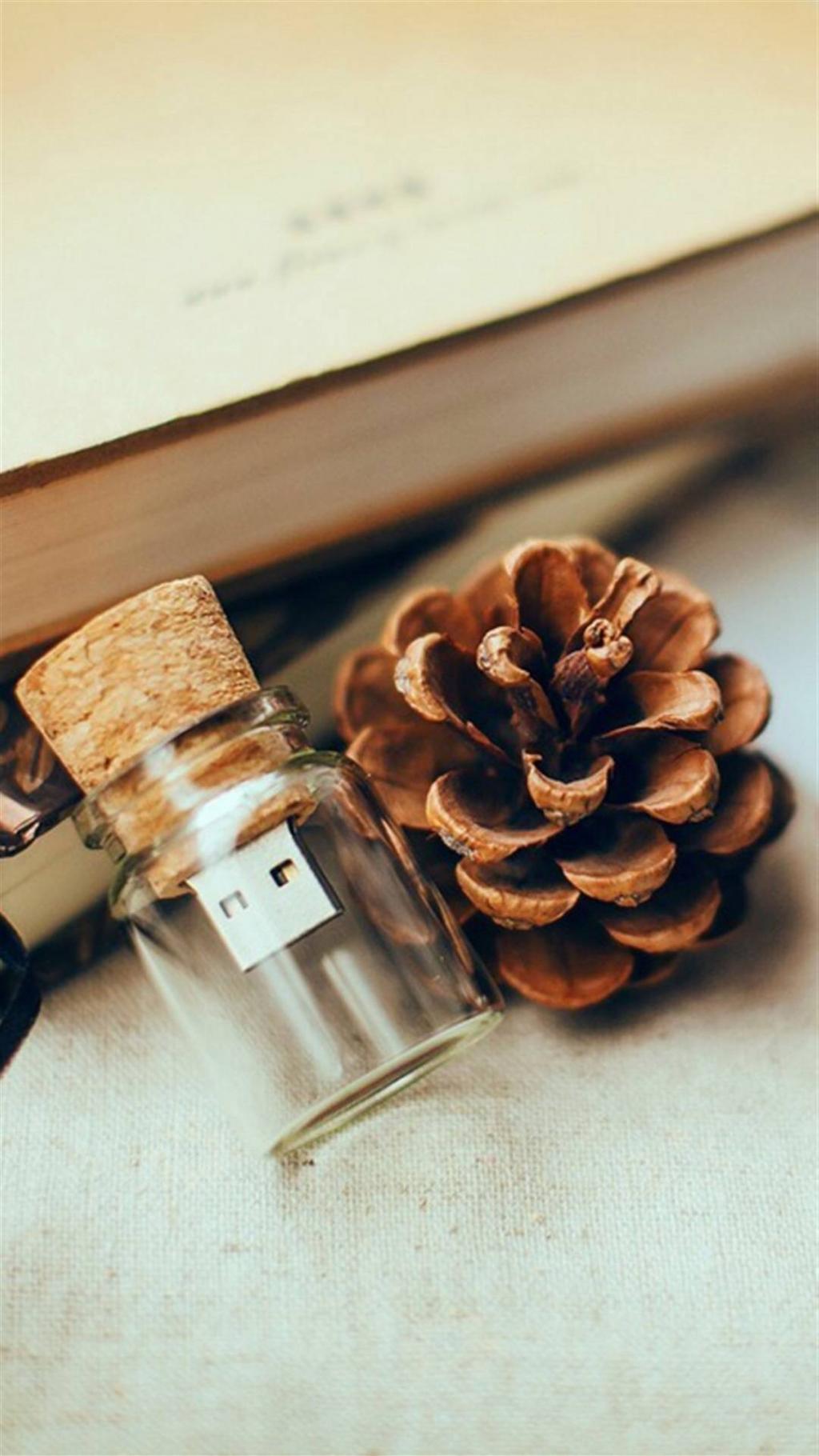 人间有味是清欢