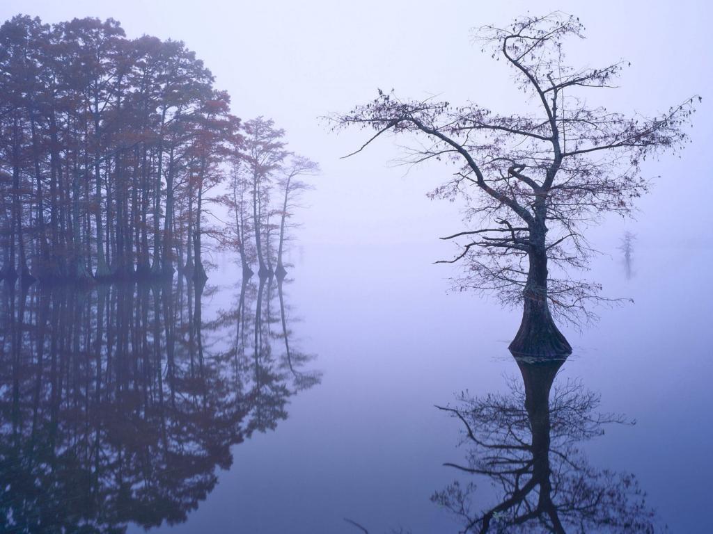 山光明媚，水色秀丽