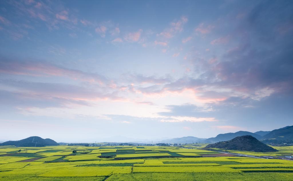 罗平万亩油菜花