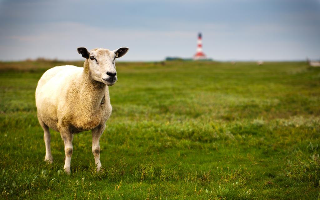 欧洲自然山水风光