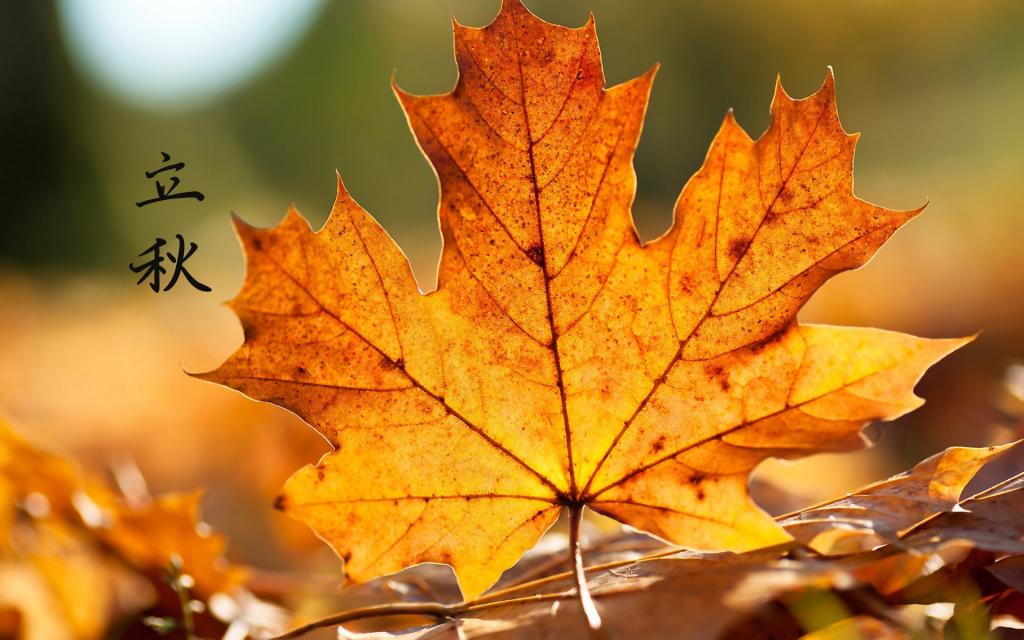 遇见立秋