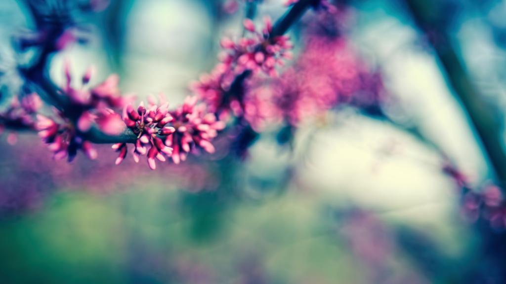 世间美景万般红