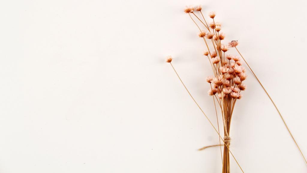 温馨的干花背景