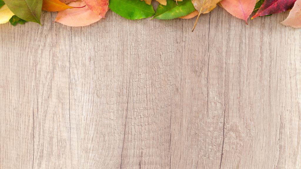 人生就如秋天的叶子