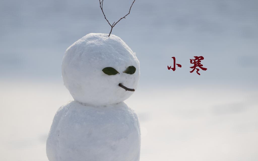 节气小寒的雪景