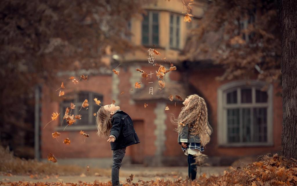 你好,美丽的十一月