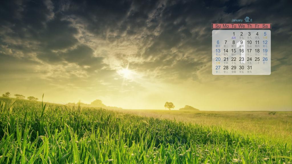 2019年1月小清新绿色植物护眼写真日历