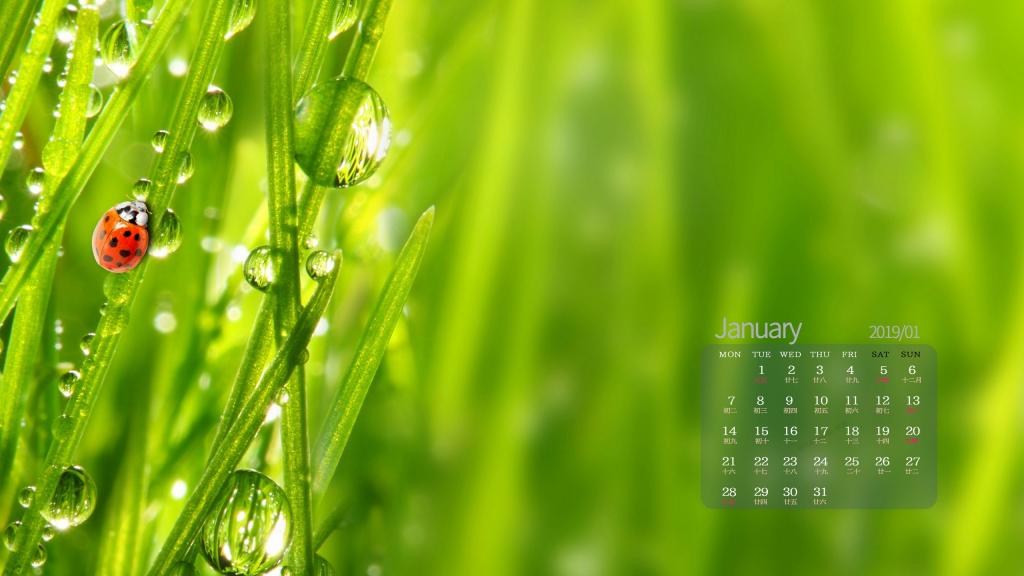 2019年1月满眼皆绿意日历