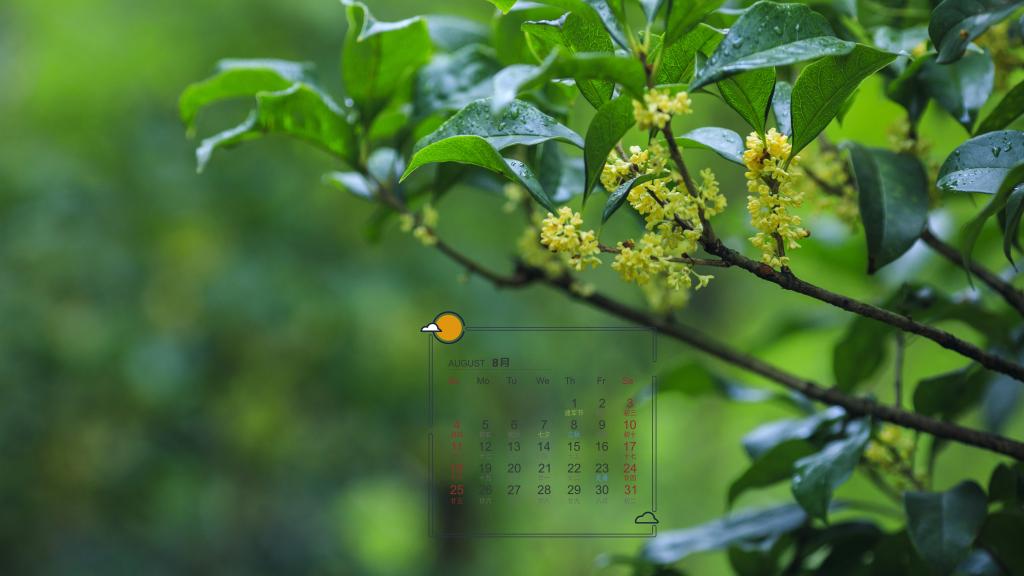 2019年8月惹人喜爱的桂花日历
