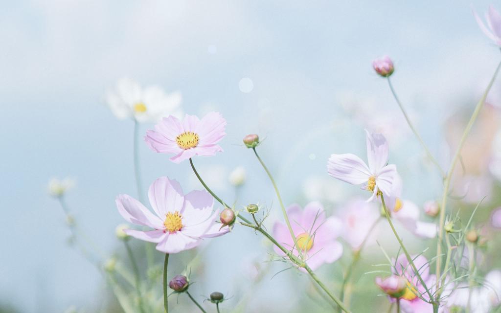 小清新简单唯美写真