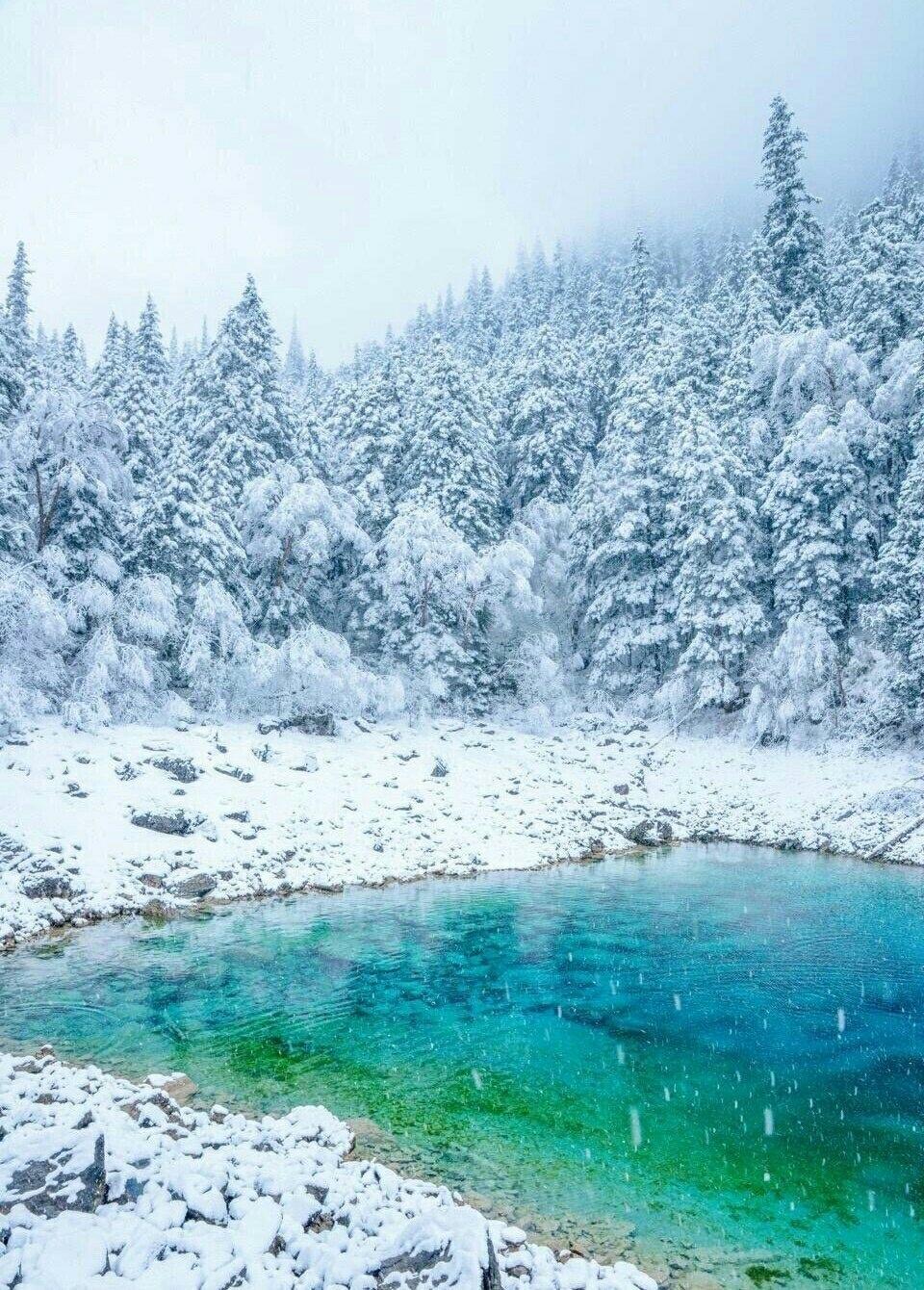 九寨沟白皑皑的唯美雪景