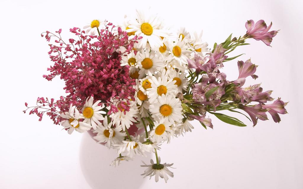 超大艳丽鲜花特写