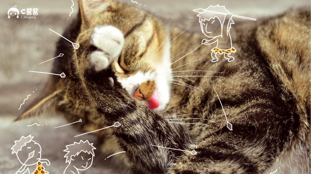恶搞喵星人(猫咪)