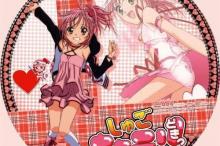 日本少女动漫《守护甜心》