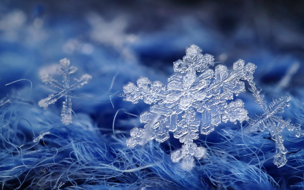 每片雪花都是一幅极其精美的图案