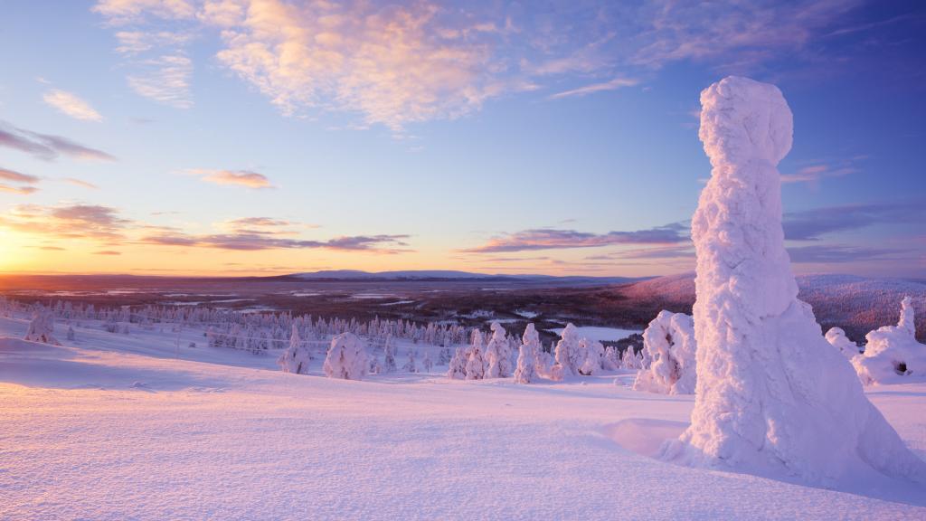 大雪纷飞的森林