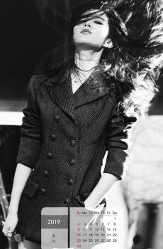 2019年6月气质女神刘亦菲写真日历-5