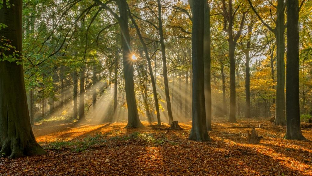 比利时布鲁塞尔风景