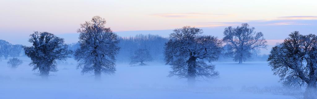 《雪》唯美全景
