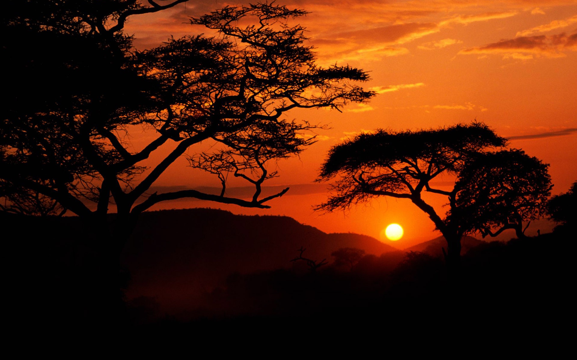 日出东海落西山