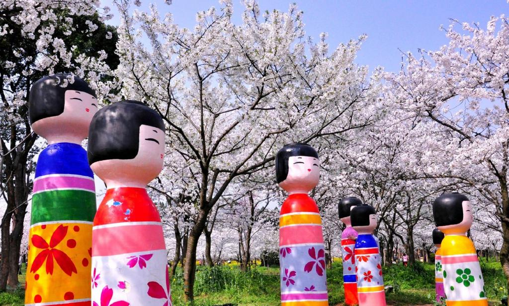 武大樱花将进入盛开期