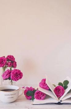 七夕情人节唯美鲜花系列