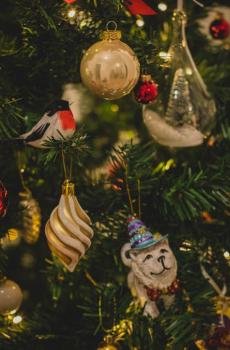 西方圣诞节的圣诞树-4