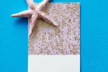 形态各异的海星