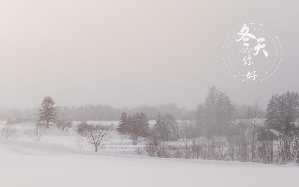 冬天你好优美迷人雪景意境