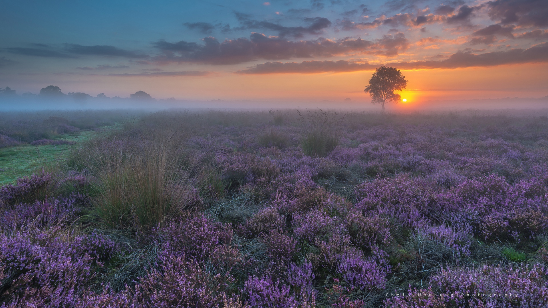 高清迷人景色,高清图片,电脑桌面-壁纸族