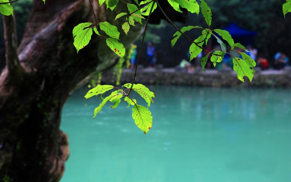 大七孔(小七孔)风景区