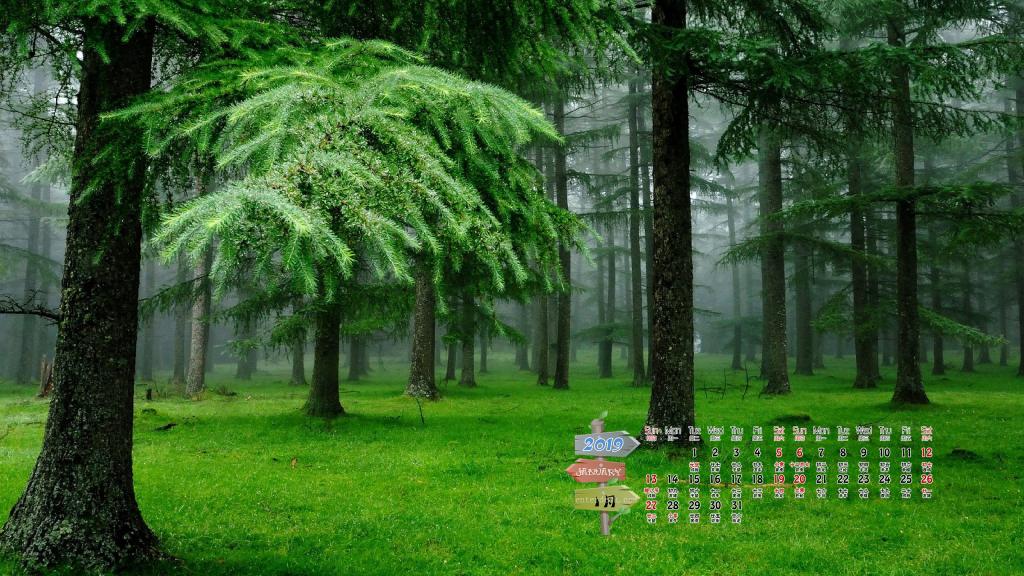 2019年1月小清新绿色植物护眼写真日历