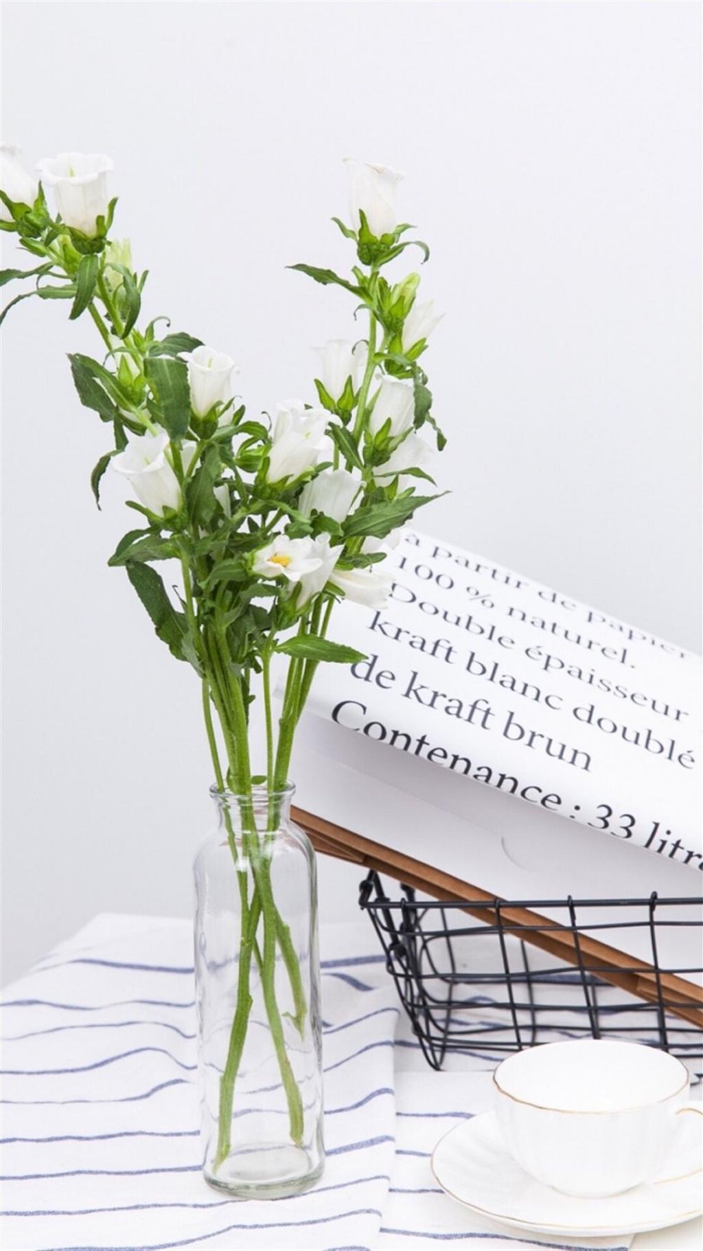 淡雅清新风铃草