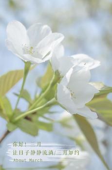 时光匆匆,三月如约-4