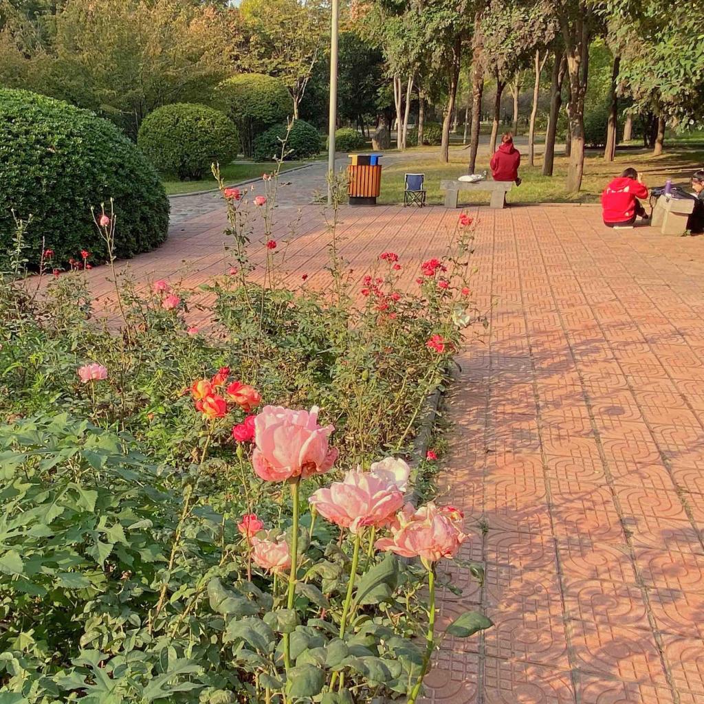 秋天清新迷人自然风光